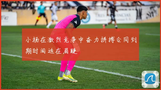 小杨在激烈竞争中奋力拼搏合同到期时间迫在眉睫