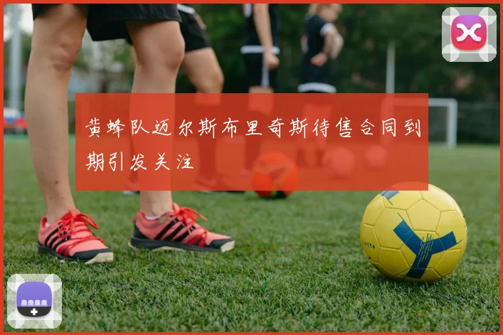 黄蜂队迈尔斯布里奇斯待售合同到期引发关注