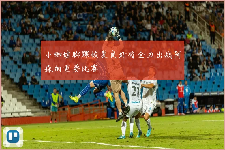 小蜘蛛脚踝恢复良好将全力出战阿森纳重要比赛